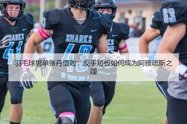 羽毛球男单张丹惜败：反手短板如何成为阿雅琉斯之踵